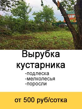 Вырубка кустарника